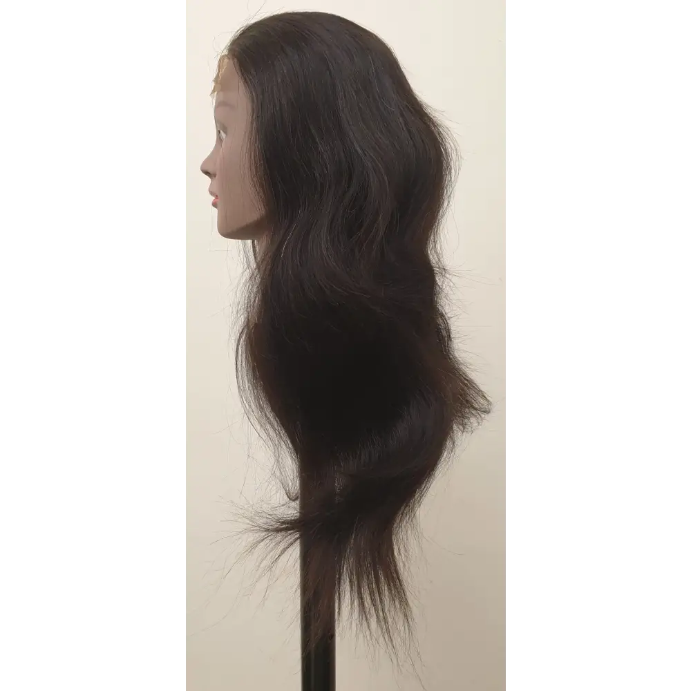 Human Hair 18" Straight Lace Front Wig | Afrihair